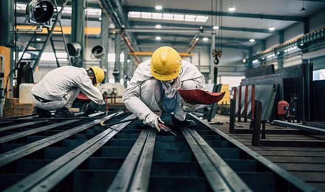 Gökdere Kertenkele İlaçlama